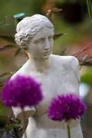 Statue avec Allium - Jardins Waterperry