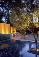 Jardin moderne avec dallage en pierre noire, arbre et coin repas éclairé le soir - Californie, USA