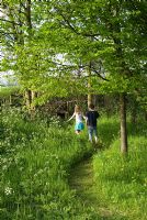 Les enfants qui courent le long du chemin tondu à travers les hautes herbes avec Anthriscus sylvestris et Primula veris menant à de petits bois avec Carpinus betulus au début de mai