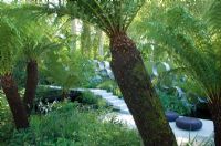 Plantation tropicale aux caractéristiques modernes conçue par Andy Sturgeon pour la recherche sur le cancer - RHS Chelsea Flower Show 2008