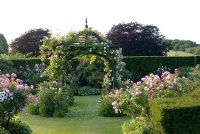 Une roseraie et une tonnelle avec escalade de Rosa 'New Dawn' et Rosa 'Bonica' de chaque côté de l'entrée du jardin à la lumière du soir - Ousden House