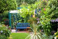 Petit jardin tropical de style marocain avec Cordyline australis et banc peint en bleu