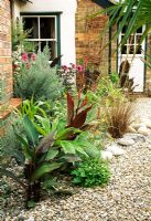 Mistletoe House - Cour jardin tropical