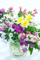 Arrangement de fleurs de printemps. Narcisse 'Minnow' Pulmonaria officinalis, Tiarella, Alto, Pumonaria 'Opal'