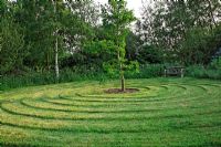 Labyrinthe de pelouse en spirale avec Ginkgo biloba central situé dans les bois