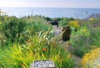 Jardin en bord de mer avec parterre de plantation tolérante à la sécheresse de Crocosmia, Euphorbia, Helichrysum, Verbena, Lavandula et Oenothera - Dawlish