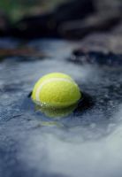 Entretien de l'étang. Placez une balle de tennis dans l'étang. Le mouvement de celui-ci empêche l'eau de geler complètement.