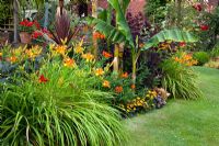 Jardin exotique avec Musa, Hemerocallis 'Frans Hals' et Cordyline australis