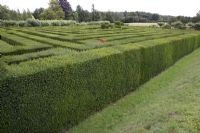 Immense labyrinthe de Taxus coupés - If, à Hatfield House.