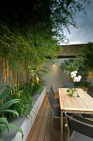 Petit jardin de cour urbaine. Bambou en parterre de fleurs surélevé. Coin repas avec Orchidée sur table. Bermondsey, Londres, Royaume-Uni