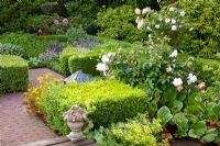 Jardin de campagne avec dallage en brique, Rosa grimpante et Buxus taillé - Haie de buis