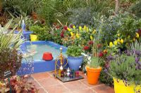 Pots sur terrasse dans jardin marocain avec piscine bordée de bleu, pépinières Hillier, RHS Chelsea Flower Show 2010
