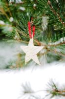 Faire des décorations de Noël à partir d'écorce de bouleau argenté - 12. Étoile finie, suspendue dans un arbre
