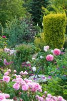 Jardin de cottage anglais traditionnel avec rose Rosa, géranium, Papaver somniferum - coquelicot poussant autour du cadran solaire. Taxus baccata 'Aurea' derrière. Carol et Malcolm Skinner, Eastgrove Cottage, Worcs, Royaume-Uni