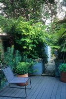 Jardin de la cour de la petite ville avec chaise sur terrasse en bois, plantation de style tropical. Humulus lupulus 'Aureus et Euphorbia dans des plates-bandes surélevées. Alistair Davidson, Worcester, Royaume-Uni