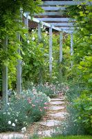 Tremplin et chemin de gravier sous pergola, bordés de Dianthus et de Clematis qui y grimpent. Parsons Cottage