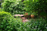 Table et chaises de style café dans un jardin ombragé isolé, plantation de Viburnum plicatum 'Mariesii' et de géranium, urne en terre cuite vide comme point focal - La Maison Blanche, Keyworth, Nottinghamshire