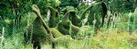 Taxus sculptural - If et Buxus - Coffret topiaire inspiré par Henry Moore avec une plantation vivace naturaliste à Priona conçue par Henk Gerritsen, Pays-Bas