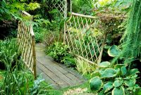 Chemin en terrasse menant à travers le jardin de feuillage avec pont en bois et clôtures en bambou. Acer, Gunnera, Carex