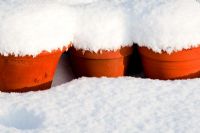 Pots en terre cuite recouverts de neige