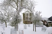 Jardin d'hiver couvert de neige avec gazebo surélevé, gardes de lapin et petits Malus - Pommiers avec Viscum - Gui, Norfolk, UK, décembre