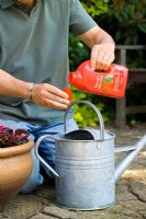 Ajouter des tomates liquides dans un arrosoir pour nourrir les plantes en pots ou en sacs de culture