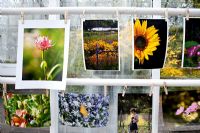 Une exposition de photographies de fleurs et de jardins