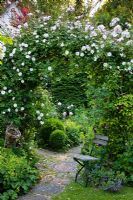 Jardin romantique avec arche de Rose sur un patio circulaire et chaise en bois. La plantation comprend Rosa 'Venusta Pendula', Alchemilla mollis, Buxus et Clematis 'Warzawska Nike'