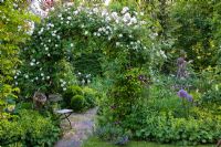 Jardin romantique avec arche de Rose sur un patio circulaire et chaise en bois. La plantation comprend Rosa 'Venusta Pendula', Alchemilla mollis, Buxus et Clematis 'Warzawska Nike'