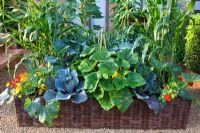 Légumes, y compris le chou, le maïs doux, la courgette, les oignons et le tropaeolum - Capucine plantée dans un pot de saule tressé - 'Le jardin Burgon and Ball 5 par jour' - RHS Hampton Court Flower Show 2011