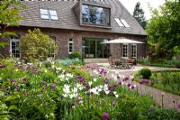 Terrasse avec salon de jardin et parasol. La plantation comprend - Brunnera, Buxus, Magnolia, Tulipa 'Negrita' et Tulipa 'White Triumphator' - Jens Tippel