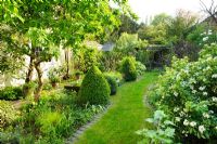Un jardin clos derrière une maison de village avec chemin d'herbe, néflier, box topiaire, Choisya ternata et une grande variété de plantes cultivées dans des parterres et des pots. Judith Rossiter, Horn Lane, Linton, Cambridgeshire.