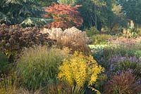 Vue d'automne sur le jardin d'été, Collection nationale de Miscanthus au Bressingham Gardens