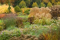 Vue d'automne sur le jardin d'été, Collection nationale de Miscanthus au Bressingham Gardens