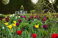 Tulipes de printemps, Sundial Garden, Highgrove, avril 2010. Conçu à l'origine par Lady Salisbury comme une roseraie