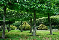 The Thyme Walk avec Golden Yew Topiary et The Hornbeam Stilt Hedge. Highgrove Garden, août 2007.