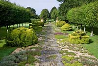The Thyme Walk with Golden Yew Topiary, Highgrove Garden, août 2007.