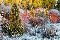 Le jardin d'été en décembre. Jardins de Bressingham, Norfolk, Royaume-Uni. Conçu par Adrian Bloom.