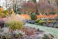 Le jardin d'hiver en novembre, l'hiver. Jardins de Bressingham, Norfolk, Royaume-Uni. Conçu par Adrian Bloom.