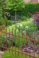 Jardin avant avec banc et plantation d'Alchemilla mollis, Iris barbata, Liquidambar styraciflua et Heuchera