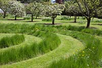 Le verger à Arley Arboretum avec labyrinthe d'herbe