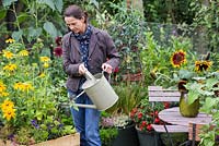 Femme arrosant Rudbeckia 'Prairie Sun' dans un petit jardin de banlieue