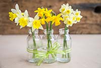 Arrangement floral de Narcisse en petits pots de verre