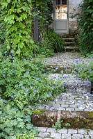 Fleurs de géranium couvrant de vieilles marches en pierre au château en France