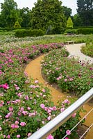 La roseraie, le jardin Savill, le grand parc de Windsor