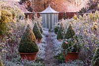 Jardin d'hiver en gel - chemin à travers la roseraie vers une maison d'été avec des roses david austin et des pots en terre cuite avec boîte clippée