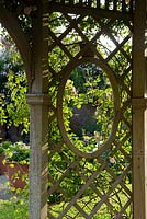 Détail de la fenêtre en treillis en bois avec des roses grimpantes. Seend, Wiltshire