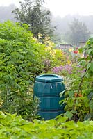 Bac à compost sur un lotissement avec des cannes de framboise et des haricots