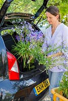 Femme plaçant des plantes achetées dans le coffre de sa voiture
