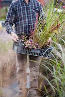 Homme portant une caisse de plantes vivaces et d'herbes sélectionnées à la pépinière.